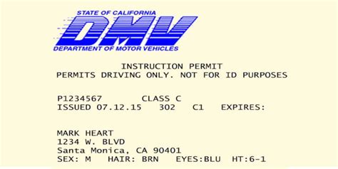 california learner's permit requirements